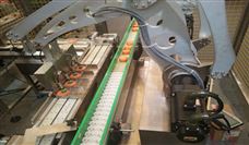 智能分选线、造楼机......11月这19个项目投运