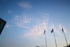 数智赋能医疗 国家人工智能应用中试基地（医疗）·浙江开园