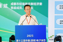 新动能、新生态、新西部―第十三届中国（西部）电子信息博览会隆重开幕(图6)