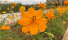 又一新能源零部件项目正式奠基