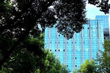 绿色氢能、固态电池！四川产业新赛道划重点